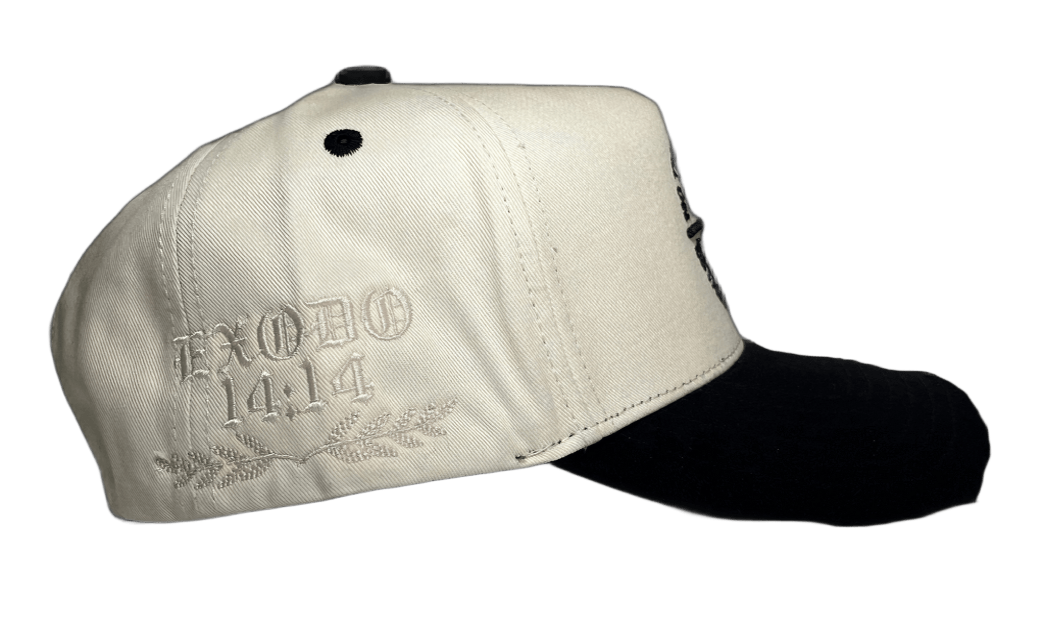 NO TENEMOS SUERTE, ESTAMOS BENDECIDOS