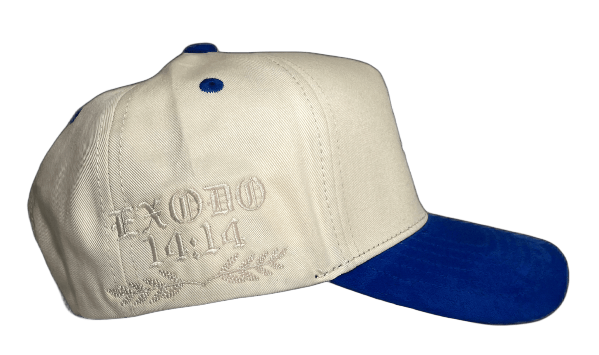 NO TENEMOS SUERTE, ESTAMOS BENDECIDOS