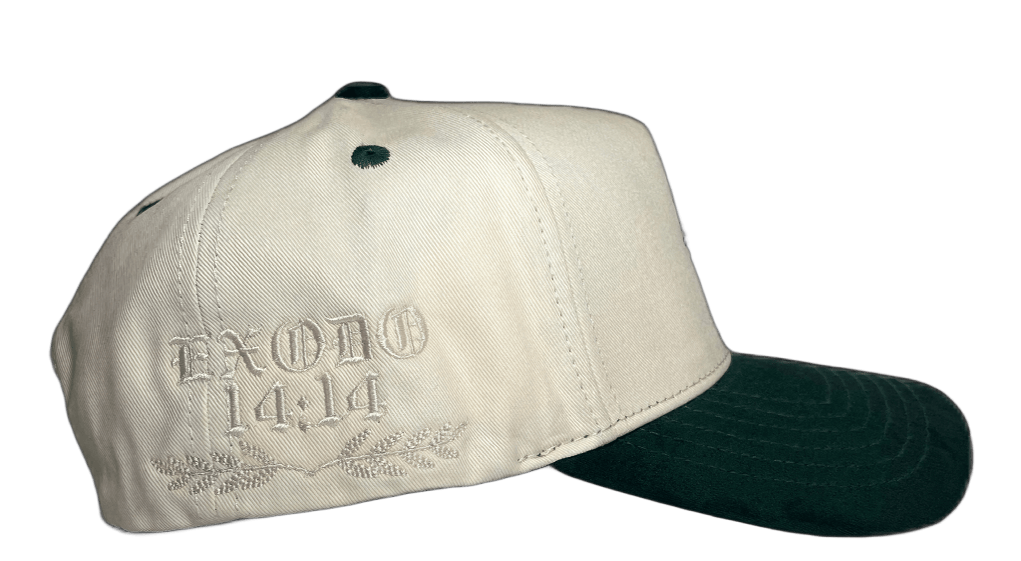 NO TENEMOS SUERTE, ESTAMOS BENDECIDOS